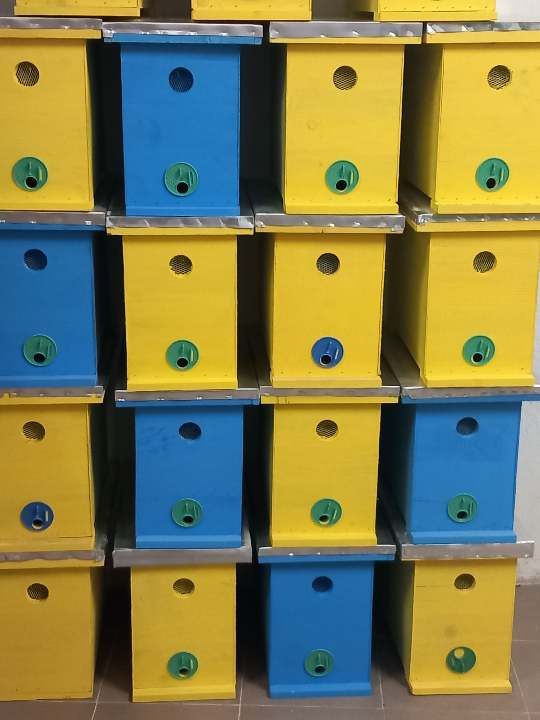 Сандъче за отводки 6 рамки ДБ