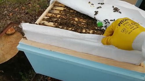 Гумени ръкавици